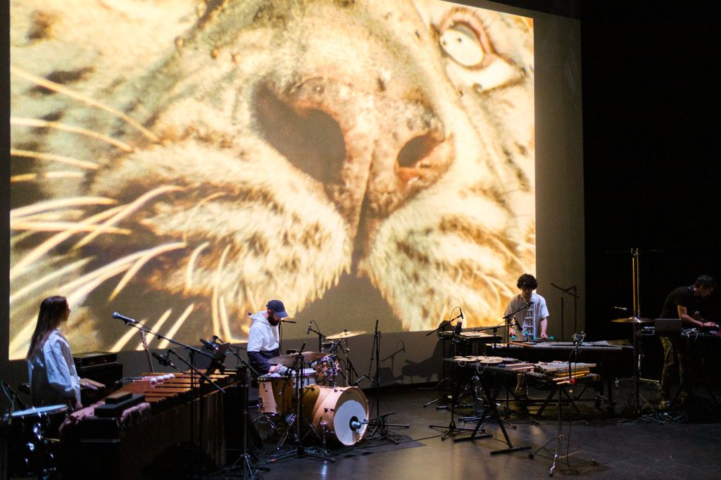 la fete sauvage - frederic rossif - percussions de strasbourg - le lieu documentaire - lucie antunes